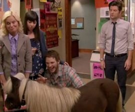 parksandrecminipony1dsb