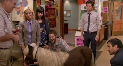 parksandrecminipony1dsb