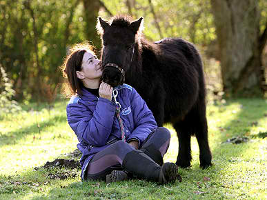 peekaboominipony