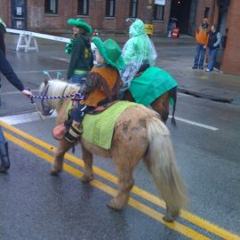 pghstpattysminipony