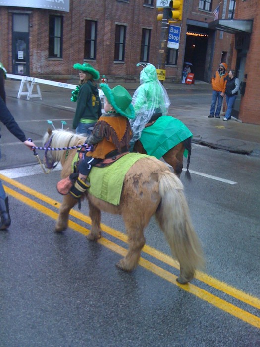 pghstpattysminipony