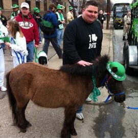 pghstpattysminiponymikeybob1