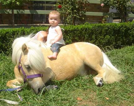 pony-ride