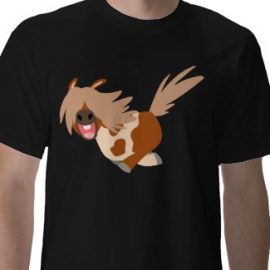 ponytshirt