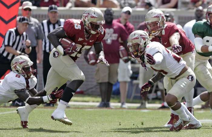 florida state seminoles