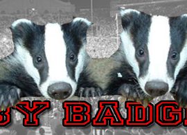 BabyBadgers