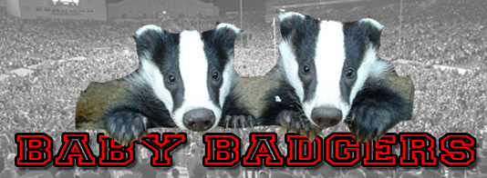 BabyBadgers