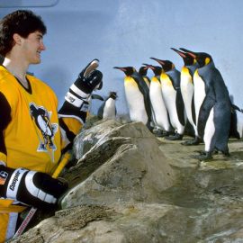 Mario-Lemieux