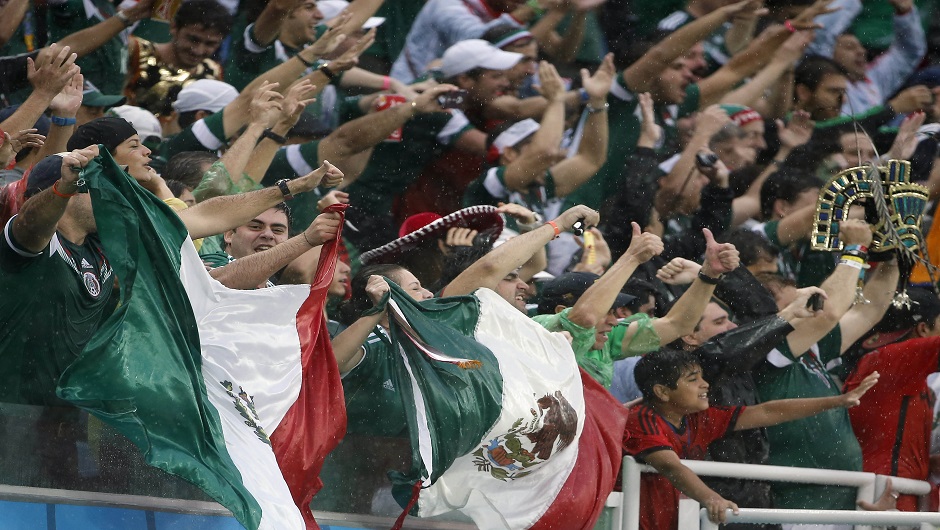 Soccer: World Cup-Mexico vs Cameroon