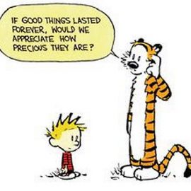 good-things-calvin-hobbes