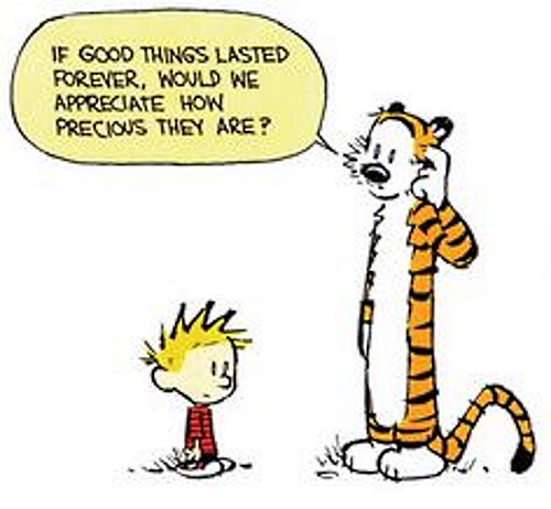 good-things-calvin-hobbes