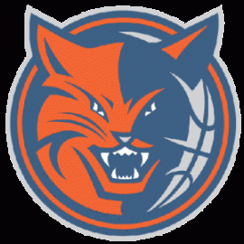 Charlotte_Bobcats_607351-300x300