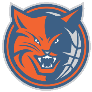 Charlotte_Bobcats_607351-300x300