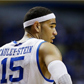 willie cauley stein