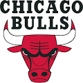 bulls logo