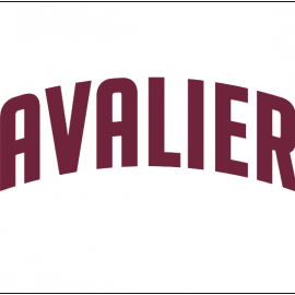 cavs logo