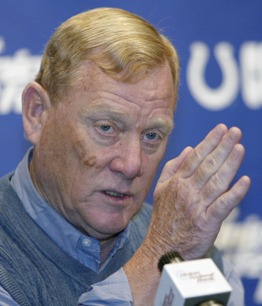 Polian