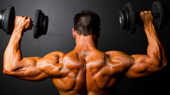 bodybuilder training with dumbbells