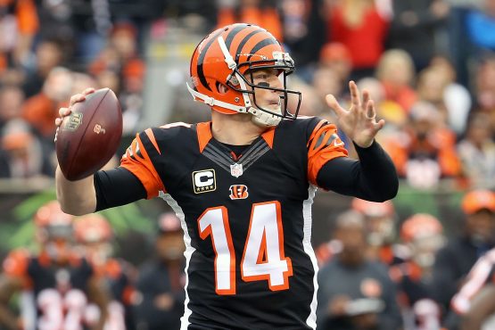 Cincinnati Bengals