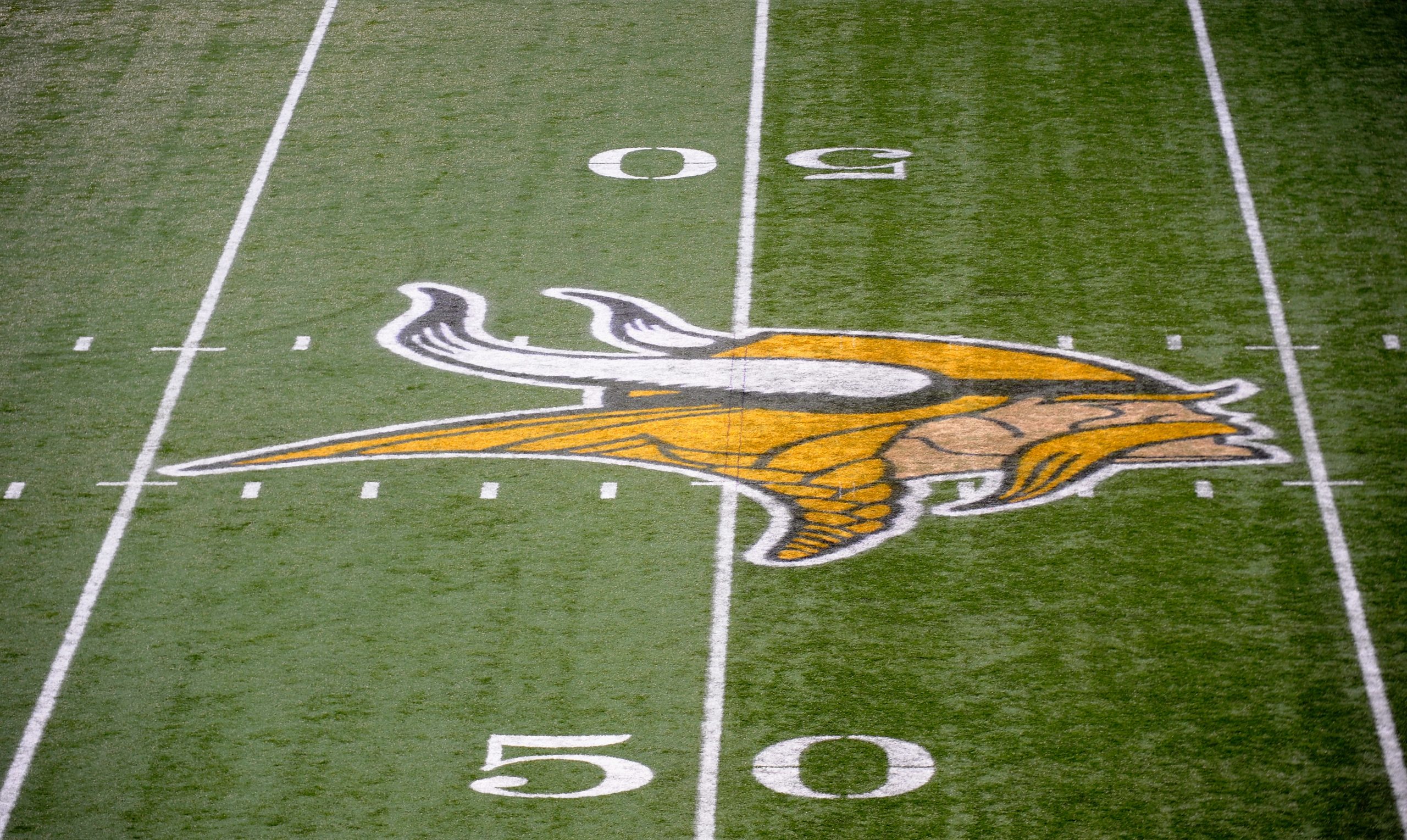 New Orleans Saints v Minnesota Vikings