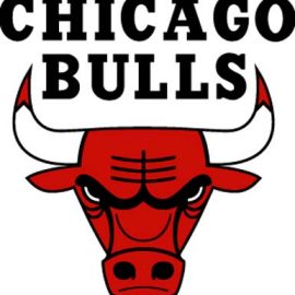 e8565-chicagobullslogo