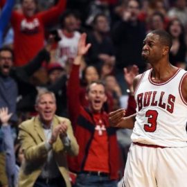 wade-bulls