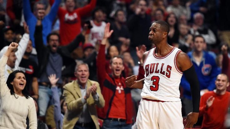 wade-bulls