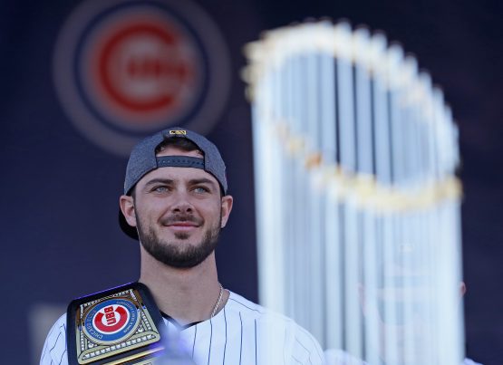 Chicago Cubs Victory Celebration