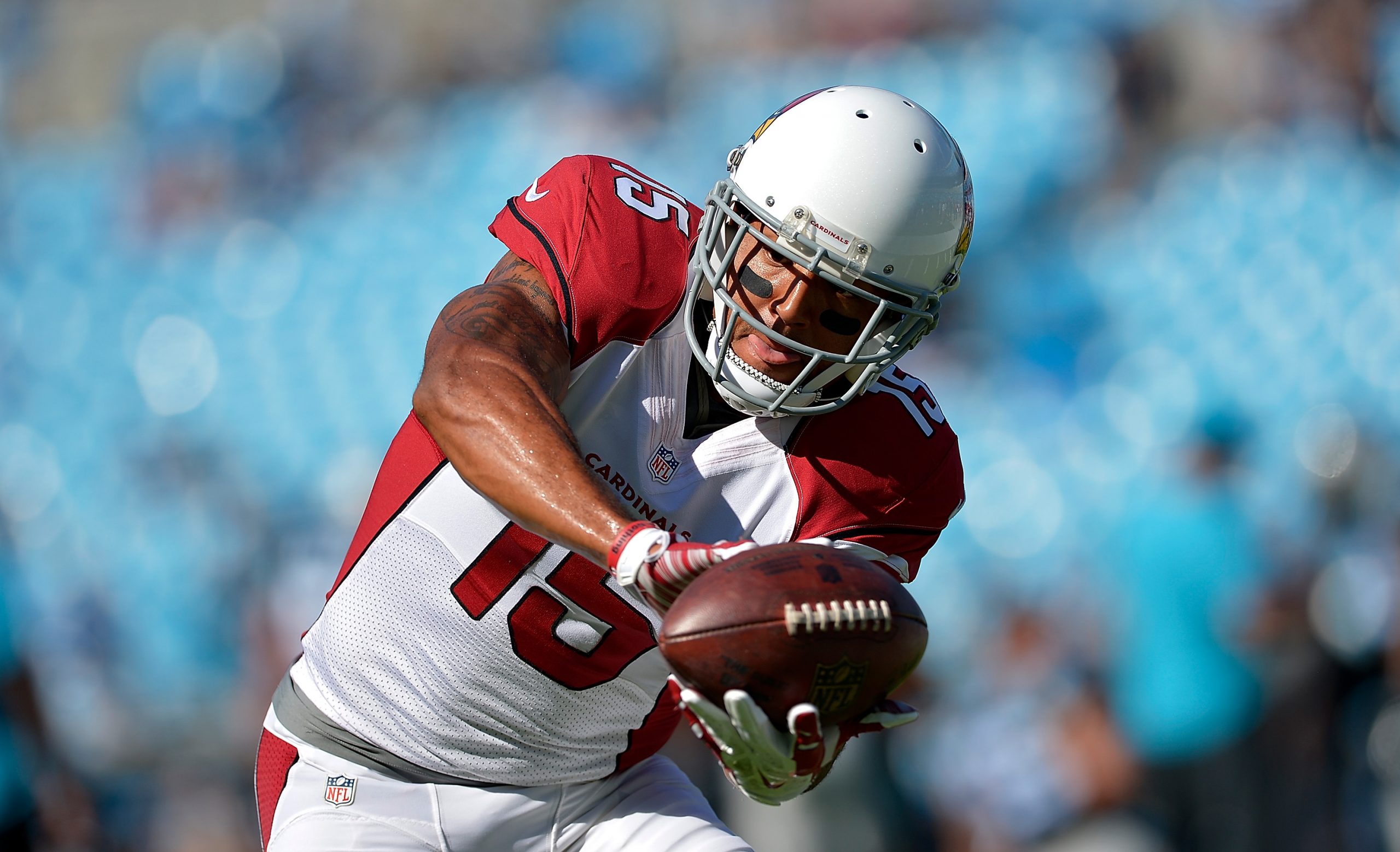 Arizona Cardinals v Carolina Panthers