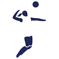 di-volleyball-logo