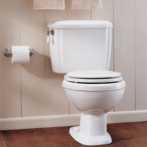 e16d7-toiletbowl