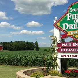 field-of-dreams