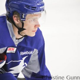 vnamestnikov3