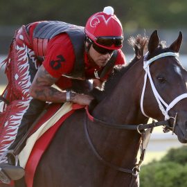 142nd Preakness Stakes - Previews