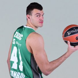 ante zizic