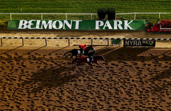 ELMONT, NY - JUNE 09: Thoroughbreds and Exercise Riders train prior to the 149th running of the Belmont Stakes at Belmont Park at Belmont Park on June 9, 2017 in Elmont, New York. (Photo by Al Bello/Getty Images)