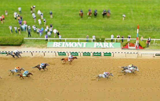 during the 148th running of the Belmont Stakes at Belmont Park on June 11, 2016 in Elmont, New York.