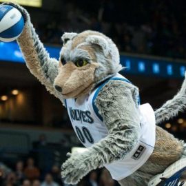 twolvesmascot