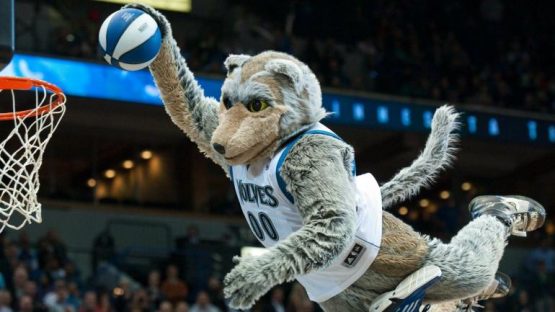 twolvesmascot