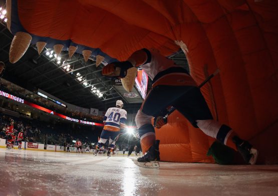 BRIDGEPORT, CT - DECEMBER 19: The Bridgeport Sound Tigers head out to play against the Albany Devils at the Webster Bank Arena at Harbor Yard on December 19, 2012 in Bridgeport, Connecticut. (Photo by Bruce Bennett/Getty Images)