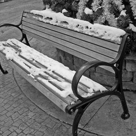 Empty Bench Featured Image