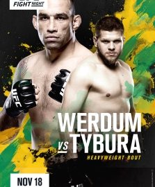 Sydney Werdum Tybura