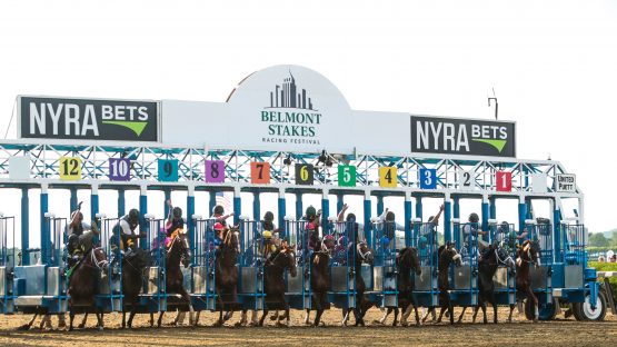 Jun 10, 2017; Elmont, NY, USA; Horses break out of the gate at the 2017 Belmont Stakes at Belmont Park. Mandatory Credit: Nicole Sweet-USA TODAY Sports