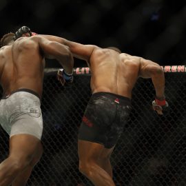 francis ngannou vs alistair overeem