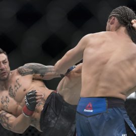 cub swanson kicks brian ortega