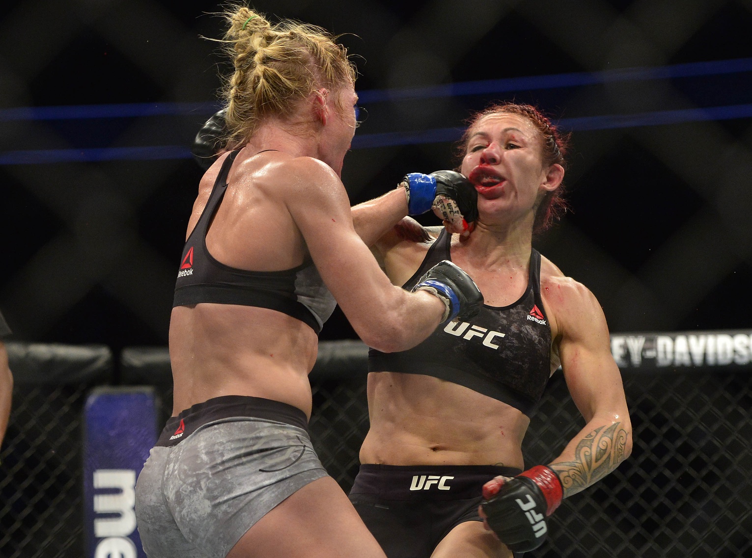 holly holm punches cris cyborg