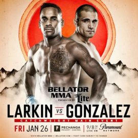 bellator 193