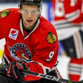 rockford icehogs