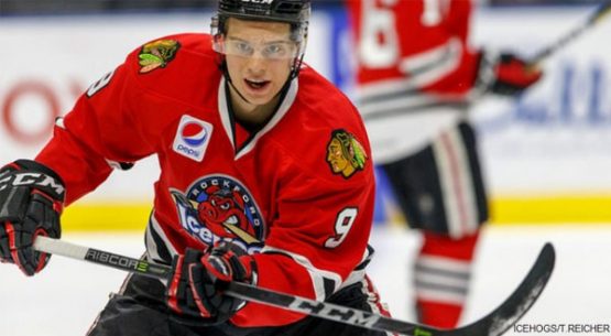 rockford icehogs