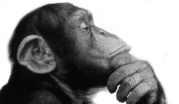 monkey-thinking